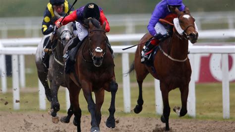 chelmsford results|chelmsford race results today.